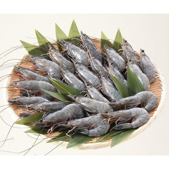 天使の海老 1kg （約20?30尾入り）えび エビ06