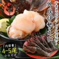 伊勢海老 千葉県産 外房イセエビ 小サイズ×4?5尾 刺身 冷凍 