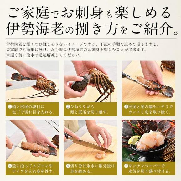 伊勢海老 千葉県産 外房イセエビ 小サイズ×4?5尾 刺身 冷凍 04
