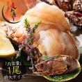 伊勢海老 千葉県産 外房イセエビ 特大サイズ600g×1尾 刺身
