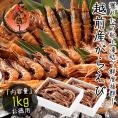 ガラエビ がらえび 1kg（500g×2箱）約70尾入り