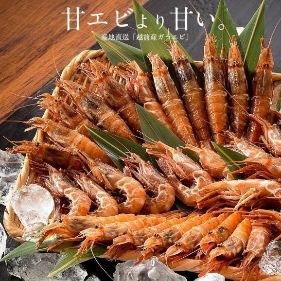 ガラエビ がらえび 1kg（500g×2箱）約70尾入り02