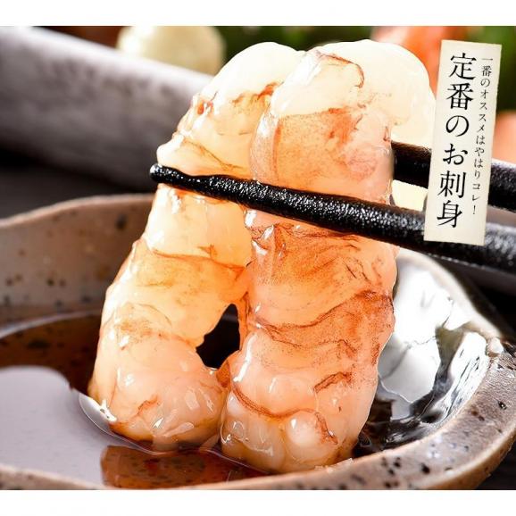 ガラエビ がらえび 1kg（500g×2箱）約70尾入り04