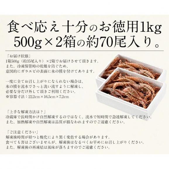ガラエビ がらえび 1kg（500g×2箱）約70尾入り05