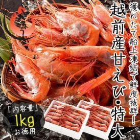 甘エビ 甘えび 子持ち 特大サイズ 1kg（500g×2箱） 約60尾入り 