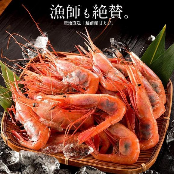 甘エビ 甘えび 子持ち 特大サイズ 1kg（500g×2箱） 約60尾入り 02