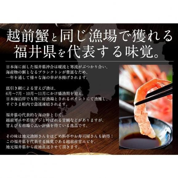 甘エビ 甘えび 子持ち 特大サイズ 1kg（500g×2箱） 約60尾入り 03