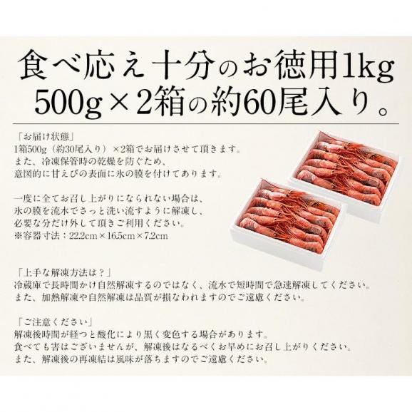 甘エビ 甘えび 子持ち 特大サイズ 1kg（500g×2箱） 約60尾入り 05
