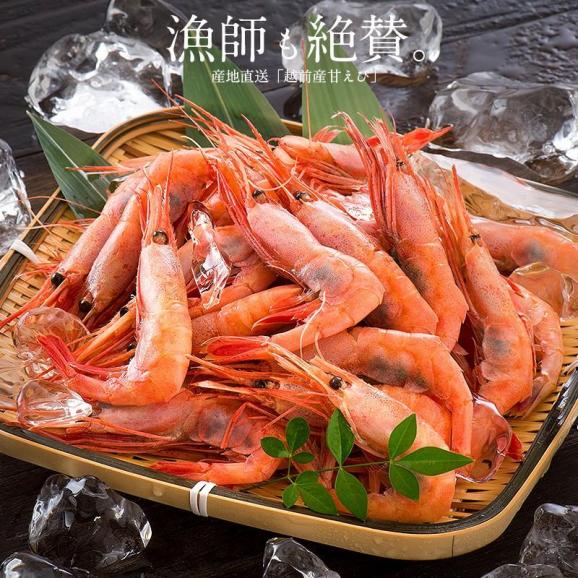 甘エビ 甘えび 子持ち 1kg（500g×2箱）約80尾入り02