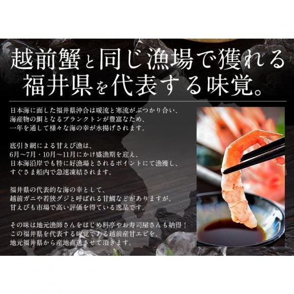 甘エビ 甘えび 子持ち 1kg（500g×2箱）約80尾入り03