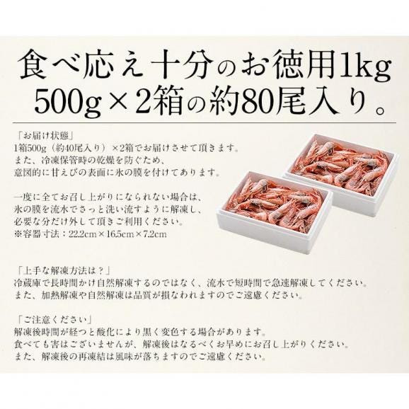 甘エビ 甘えび 子持ち 1kg（500g×2箱）約80尾入り05