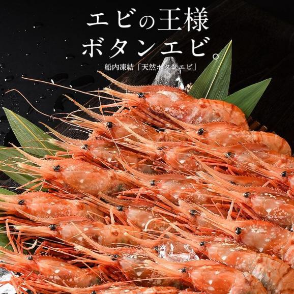 ボタンエビ 1kg（500g×2/約22?24尾入り02