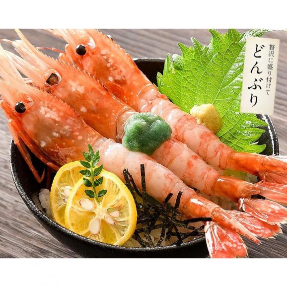 ボタンエビ 1kg（500g×2/約22?24尾入り04