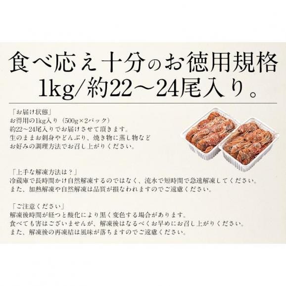 ボタンエビ 1kg（500g×2/約22?24尾入り05