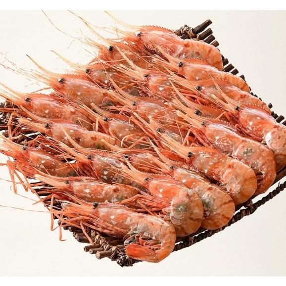 ボタンエビ 1kg（500g×2/約22?24尾入り06