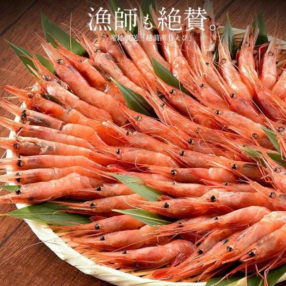 甘エビ 甘えび 子なし 小サイズ 500g（約40?50尾入り）刺身用02