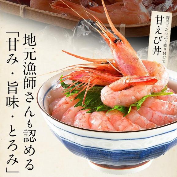 甘エビ 甘えび 子なし 小サイズ 500g（約40?50尾入り）刺身用04