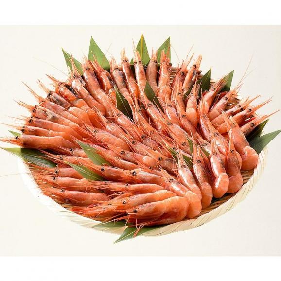 甘エビ 甘えび 子なし 小サイズ 500g（約40?50尾入り）刺身用06