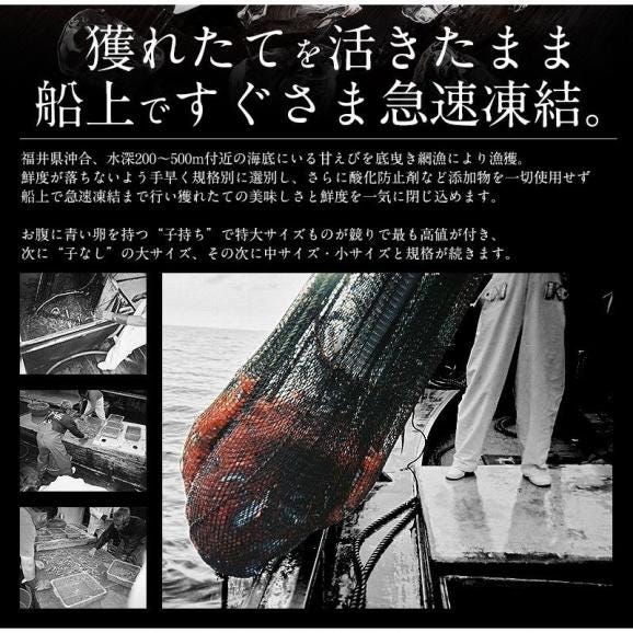 甘エビ 甘えび 子なし 小サイズ 1kg（500g×2箱）約80?100尾入り04