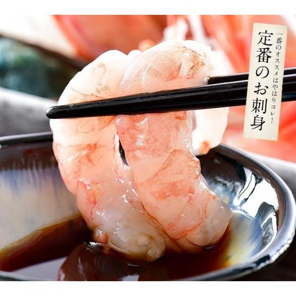 甘エビ 甘えび 子なし 小サイズ 1kg（500g×2箱）約80?100尾入り05
