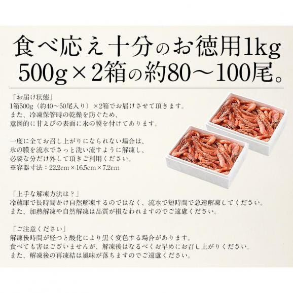 甘エビ 甘えび 子なし 小サイズ 1kg（500g×2箱）約80?100尾入り06