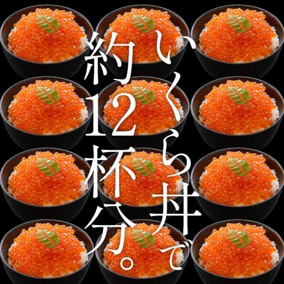 いくら 紅鮭 イクラ 醤油漬け 1kg 小粒 北海道加工 03