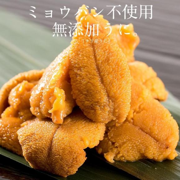 ウニ うに 100g 無添加 雲丹 お取り寄せ02