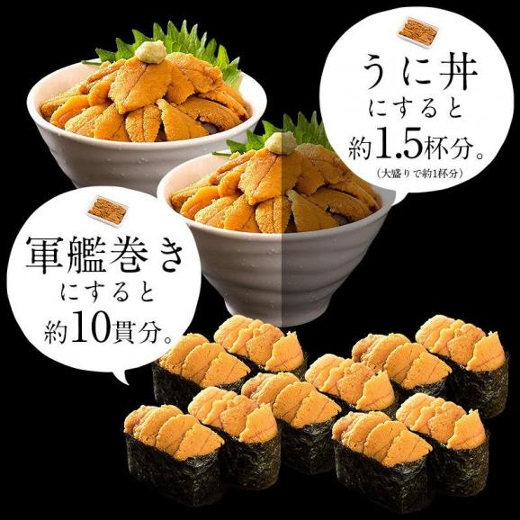 ウニ うに 100g 無添加 雲丹 お取り寄せ04