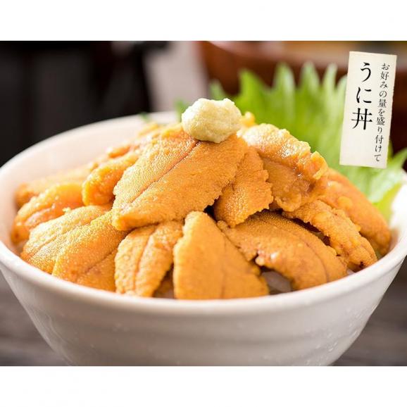 ウニ うに 100g 無添加 雲丹 お取り寄せ05