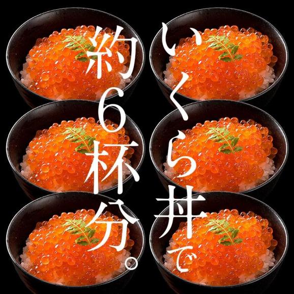 いくら 紅鮭 イクラ 醤油漬け 500g 小粒03