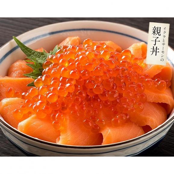 いくら 紅鮭 イクラ 醤油漬け 500g 小粒04