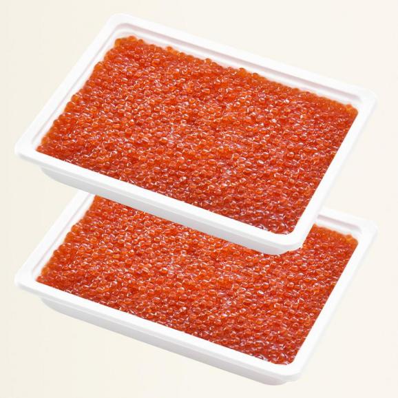 いくら 紅鮭 イクラ 醤油漬け 500g 小粒06