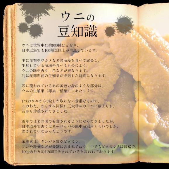 ウニ うに 200g（100g×2パック）無添加04