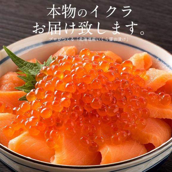 いくら 鮭 イクラ 醤油漬け 500g 北海道産 02