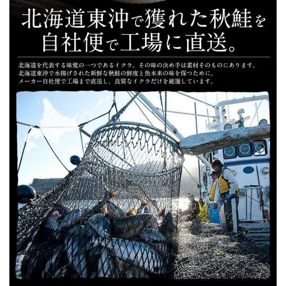 いくら 鮭 イクラ 醤油漬け 500g 北海道産 03