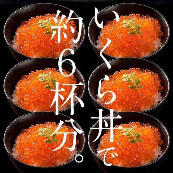 いくら 鮭 イクラ 醤油漬け 500g 北海道産 05