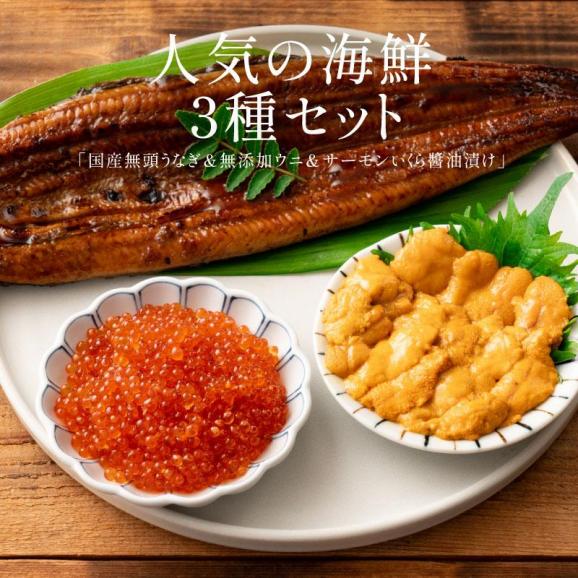 うなぎ ウニ イクラ セット ウナギ142g前後×1尾 02