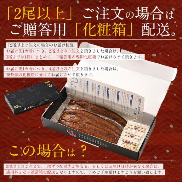 鰻 うなぎ 蒲焼き 国産 無頭 大サイズ 160g前後06