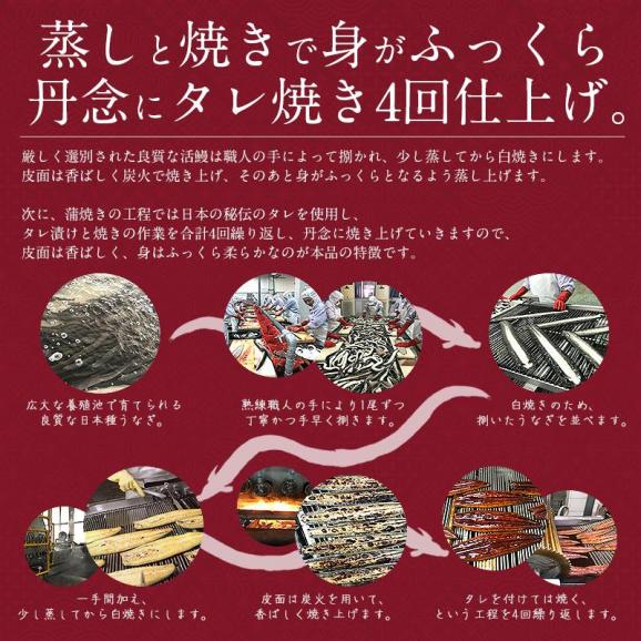 うなぎ 訳あり 端材 蒲焼き ひつまぶし 刻み 500g 中国産03