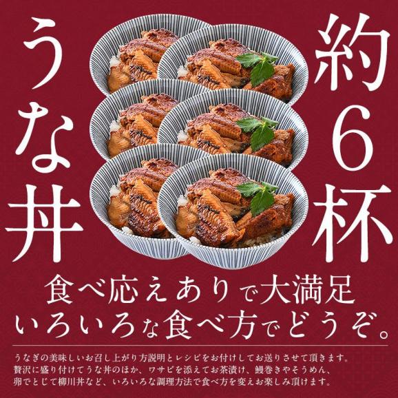 うなぎ 訳あり 端材 蒲焼き ひつまぶし 刻み 500g 中国産04
