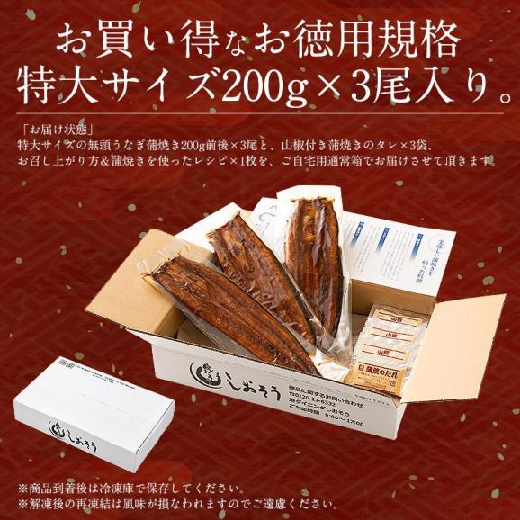 うなぎ 蒲焼き 国産 無頭 特大サイズ 約200g×3尾06