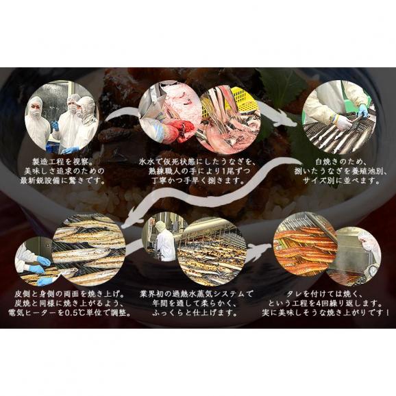 蒲焼き ＆ 刻みうなぎセット 国産 約360g（特大サイズ200g×1尾、刻みうなぎ80g×2袋）04