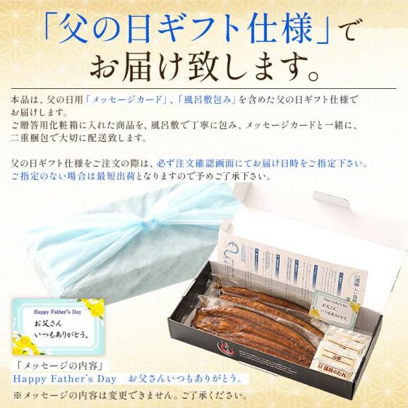 うなぎ 蒲焼き 国産 無頭 特大サイズ 約200g×3尾06