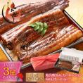 うなぎ 蒲焼き 国産 無頭 特大サイズ 約200g×3尾 ウナギ 鰻 化粧箱
