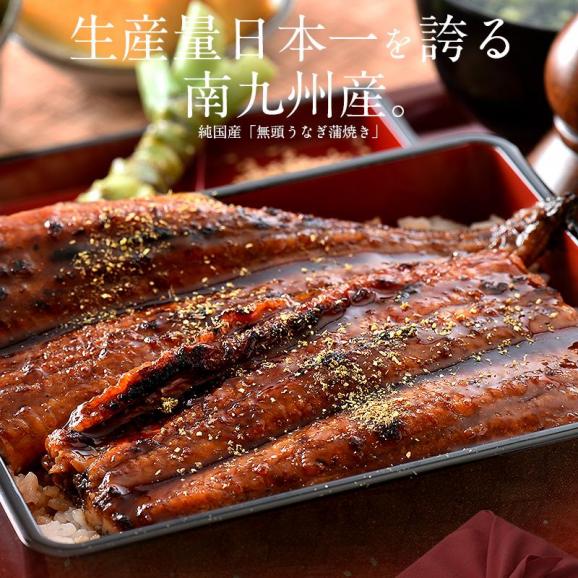 【父の日ギフトセット】うなぎ 蒲焼き 国産 無頭 特大サイズ 約200g×2尾03