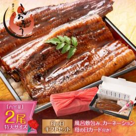 【 ギフトセット】うなぎ 蒲焼き 国産 無頭 特大サイズ 約200g×2尾