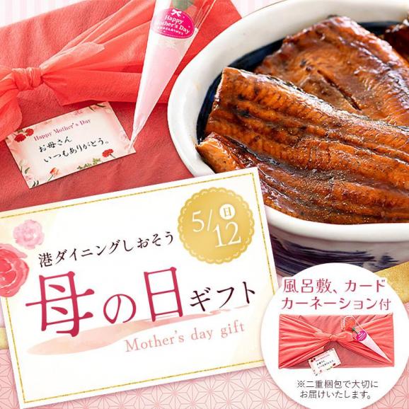 【 ギフトセット】うなぎ 蒲焼き 国産 無頭 特大サイズ 約200g×2尾02