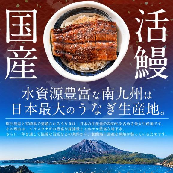 【 ギフトセット】うなぎ 蒲焼き 国産 無頭 特大サイズ 約200g×2尾04
