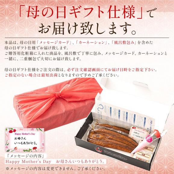 【 ギフトセット】うなぎ 蒲焼き 国産 無頭 特大サイズ 約200g×2尾06