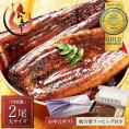 【お中元ギフトセット】うなぎ 蒲焼き 国産 無頭 大サイズ 165g前後×2尾